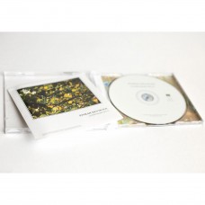 На CD издан новый альбом Романа Неумоева